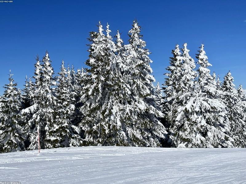 Palandöken Zirve ve Kayak Heyecanı